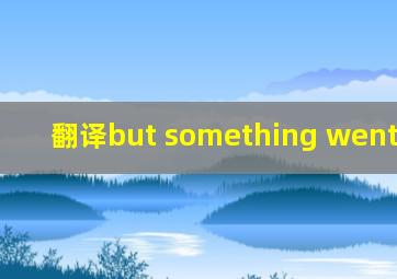 翻译but something went wrong